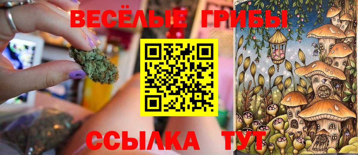 Псилоцибиновые грибы ЛСД  Вход с VPN  Хабаровск 