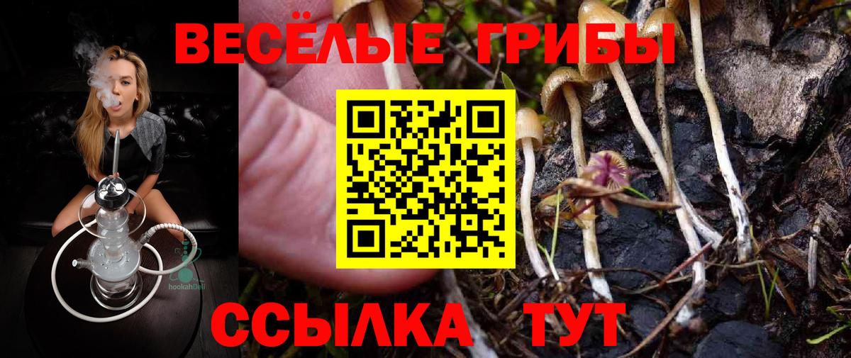 Псилоцибиновые грибы Cubensis Хабаровск